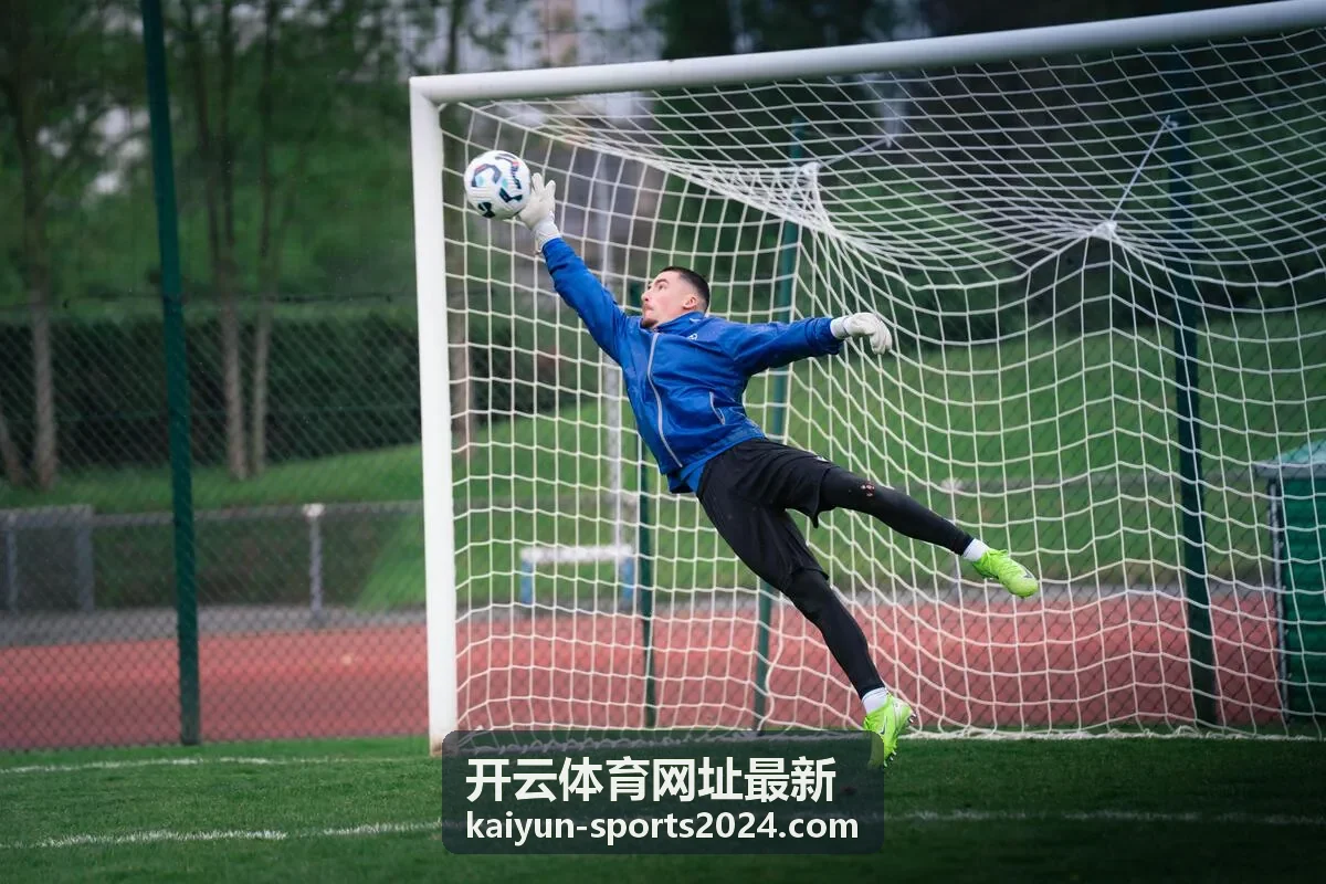 开云体育平台界面预览